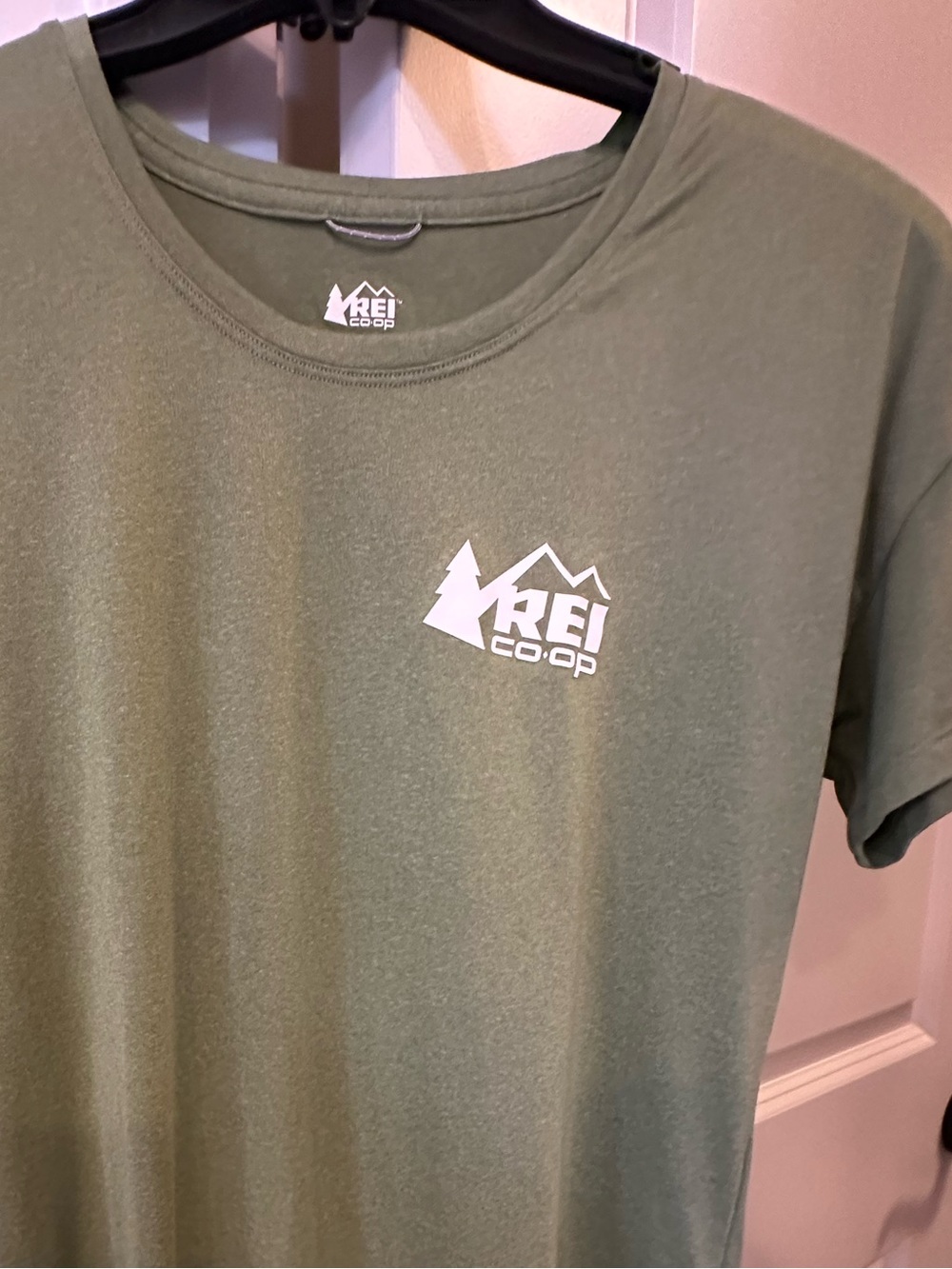 REI Co-op Short Sleeve Tee in Olive
